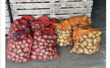 Deda ga je uvijek bacao u kesu sa krompirom i izdržali su do sledeće berbe: Ni jedan nije proklijao!