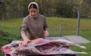 Napustila je grad i posao i preselila se u planinu: Kad ljudi vide kako Marija sama iseče i ispeče jagnje, ostanu u čudu