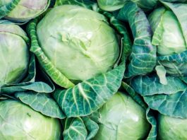 List kupusa je potopila u vrelu vodu i stavila ga na grudi: Ujutro se šokirala, problem je nestao