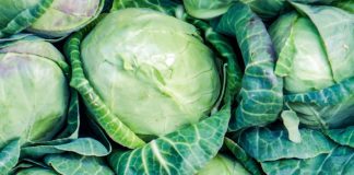 List kupusa je potopila u vrelu vodu i stavila ga na grudi: Ujutro se šokirala, problem je nestao