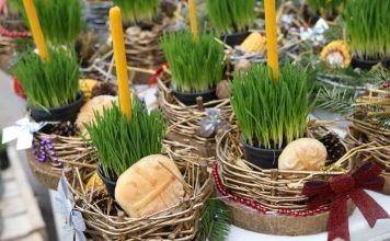 Božićna pšenica donosi sreću i blagostanje: Evo kad treba da je posijete ako želite plodnu 2025.