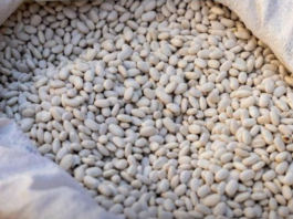 Grah prije kuhanja nikako nemojte potapati u vodi: Umjesto toga iskoristite jednu namirnicu