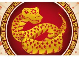 Kineska Nova godina danas počela, azijski astrolozi otkrili šta čeka svaki znak u 2025: Oni imaju najbolji period života