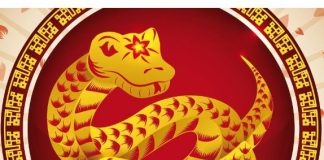 Kineska Nova godina danas počela, azijski astrolozi otkrili šta čeka svaki znak u 2025: Oni imaju najbolji period života