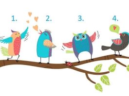 TEST! Odaberite jednu pticu i saznajte šta vam sudbina sprema u FEBRUARU