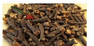 TO JE RAZLOG zašto sam počeo žvakati klinčiće svaki dan: Moram zahvaliti majčinoj ljekarnici na ovom sjajnom SAVJETU