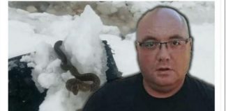 Zmije ispuzale usred zime! Narod vjeruje da ovo nije dobar znak, a poznati zmijolovac upozorava – Dobro obratite pažnju (Foto)