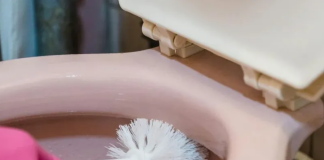 Nema više ribanja WC školjke: Jedan sastojak će riješiti sve vaše muke