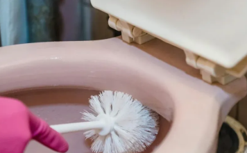 Nema više ribanja WC školjke: Jedan sastojak će riješiti sve vaše muke