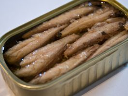 Ko ne sme da jede sardine: Ako imate ove 3 bolesti, lekari upozoravaju da ih izbegavate u širokom krugu