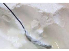 Starije osobe treba da jedu ovaj proizvod ŠTO VIŠE: Podržava probavu i dobro djeluje na vene!