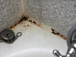 ZABORAVITE SODU BIKARBONU I SIRĆE: Jedna namirnica koju već imate u kući čini da kamenac nestane duplo brže, TOPI ČAK I RĐU