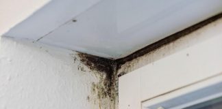 Ova stvar ubija buđ bolje od limuna i sirćeta! Za ovo vam niko neće reći, a nestaje kao rukom odnesen