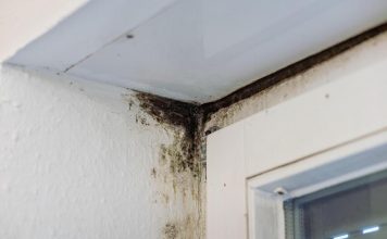 Ova stvar ubija buđ bolje od limuna i sirćeta! Za ovo vam niko neće reći, a nestaje kao rukom odnesen