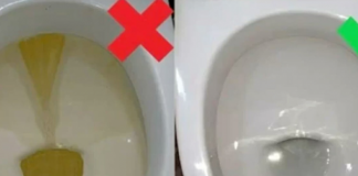Sipajte samo 50grama ovog praha u WC šolju i zaboravite na ribanje: ZASIJAĆE KAO NOVA