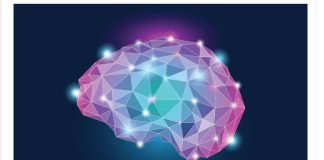 Svetski neurohirurg otkrio kako da vam mozak radi kao da imate 25: Ključ je u ova 3 saveta