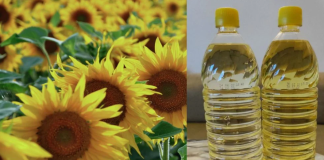 Sve piše na etiketi, ali niko ne čita: Zašto ulje nikada ne treba čuvati u kuhinjskom ormariću