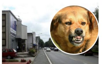 AKO VAS NAPADNE PAS LUTALICA, URADITE SAMO JEDNO: OVO je najbolja ODBRANA, ODMAH ćete ga ZAUSTAVITI