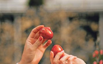Ovo cveće obavezno treba uneti u kuću pre Vaskrsa: Veruje se da donosi sreću i napredak