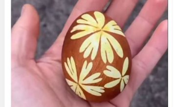 Starinski način da vam se TRAVKE jasno preslikaju na uskršnja jaja, nema uopšte mrlja – 3 laka koraka daće vam savršene šare (FOTO/VIDEO)