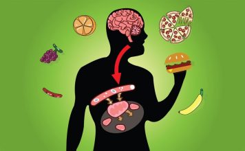 KAKO SMRŠATI POSLIJE 50. GODINE? Uz 3 ključna pravila uvijek ćemo biti VITKE, a evo koje NAMIRNICE treba IZBJEGAVATI