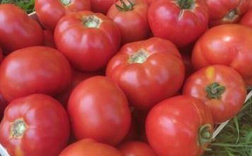 Lako ćete prepoznati paradajz pun otrova: Dovoljno je da obratite pažnju na ovaj deo