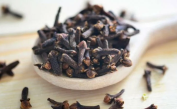 STAVILA JE KARANFILIĆ NA VRATA U KUĆI: PREKO NOĆI SE RIJEŠILA PROBLEMA KOJI JE PRISUTAN KOD MNOGIH!