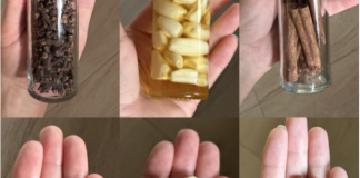 Skrivena moć belog luka, karanfilića i meda – Volio bih da sam ovo znao ranije!