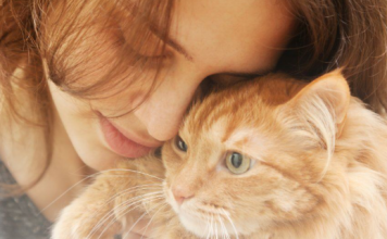 Mačka je u stanju da isceli sve bolesti: Ovako štiti porodicu od nesreće!