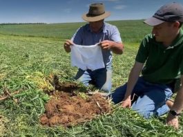 Ljudi širom sveta donji veš zakopavaju u bašte, a iza ovoga se krije savršeno dobar razlog