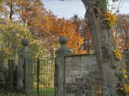 Probali su mnogi, ali nisu uspeli: Svako ko pronađe ženu na slici ima natprosečnu inteligenciju