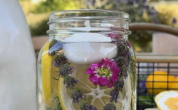 Zaboravite na toksične sprejeve PROTIV KOMARACA: Napravite ovo PRIRODNO SREDSTVO i gledajte kako BEŽE KAO OD VATRE