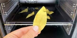 Svi bi trebali biti svjesni efekta koji se može postići jednostavnim stavljanjem običnog lovorovog lista u rernu i ostavljanjem da se peče 20 minuta.