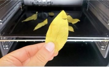 Svi bi trebali biti svjesni efekta koji se može postići jednostavnim stavljanjem običnog lovorovog lista u rernu i ostavljanjem da se peče 20 minuta.