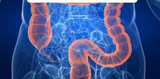 Iz crijeva kreću sve bolesti: Doktorka otkriva da zadobro varenje svaki dan treba da jedemo 30 grama ove namirnice