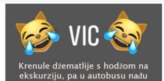 VIC DANA: HODŽA U AUTOBUSU