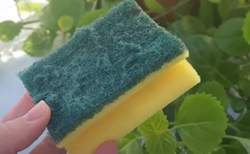 Nikada ne bacajte stari sunđer: Kada vidite čemu služi čuvat ćete ga kao oči u glavi!!TRIK KOJI JE OBIŠAO CIJELI SVIJET!!!!