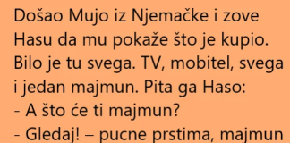 VIC DANA!!!MUJO IZ NJEMACKE