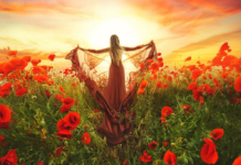 Ova 3 horoskopska znaka će se obogatiti kad-tad: Suđeno im je da se kupaju u novcu