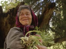 Kako je porodica preživela 40 godina u potpunoj izolaciji od ostatka sveta? Živeli na neverovatan način, a kad su ih našli – jezivo proročanstvo se ostvarilo