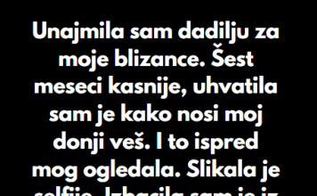“Unajmila sam dadilju za moje blizance…”