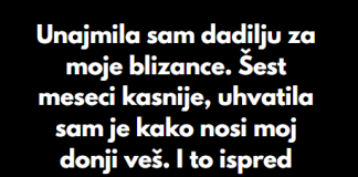 “Unajmila sam dadilju za moje blizance…”