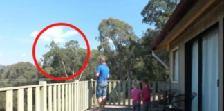 UHVAĆEN JE SA ĆERKAMA NA BALKONU, MAJKA ODMAH IZLETJELA: Vrištali su dok su to radili…. (VIDEO)