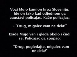 VIC DANA: Vozi Mujo kamion