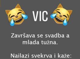 VIC DANA: Svekrva i snaja