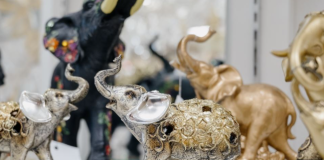 Veruje se da ovih 7 predmeta imaju veliku moć i da svaka kuća treba da ih ima: Privlače novac i obilje poput magneta