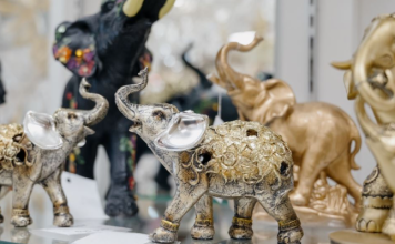 Veruje se da ovih 7 predmeta imaju veliku moć i da svaka kuća treba da ih ima: Privlače novac i obilje poput magneta