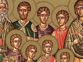 DANAS OVU BILJKU OBAVEZNO MORATE DA UNESETE U KUĆU! Običaj se POŠTUJE VEKOVIMA, STAR je, NE KRŠI SE, inače…