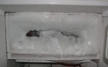 OVO SREDSTVO OTAPA SAV LED IZ FRIŽIDERA: Svi ga imate u kuhinji, a SPASIT će vas!