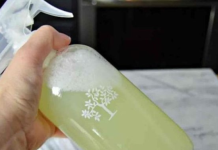 Savjeti U Kući Više Nećete Naći Paukove, Muhe Ili Prehrambene Moljce: Jednostavno Kućno Rješenje Koje će Ih TRAJNO 0tjerati (RECEPT)!